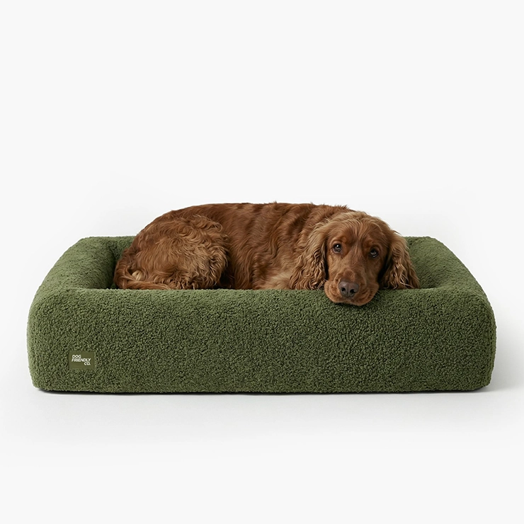 Premium Orthopedic Memory Foam Dog Bed - Green Bouclé (Small)