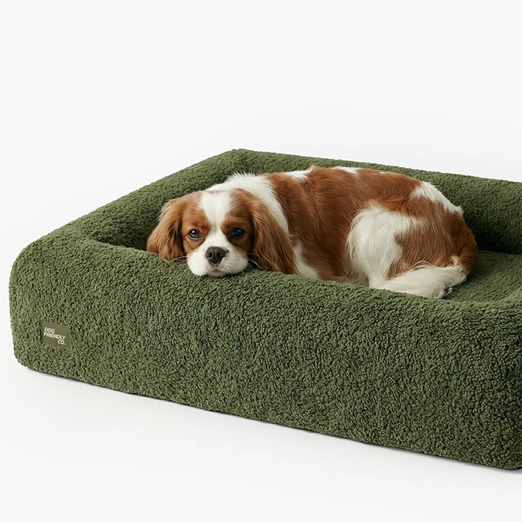 Premium Orthopedic Memory Foam Dog Bed - Green Bouclé (Small)