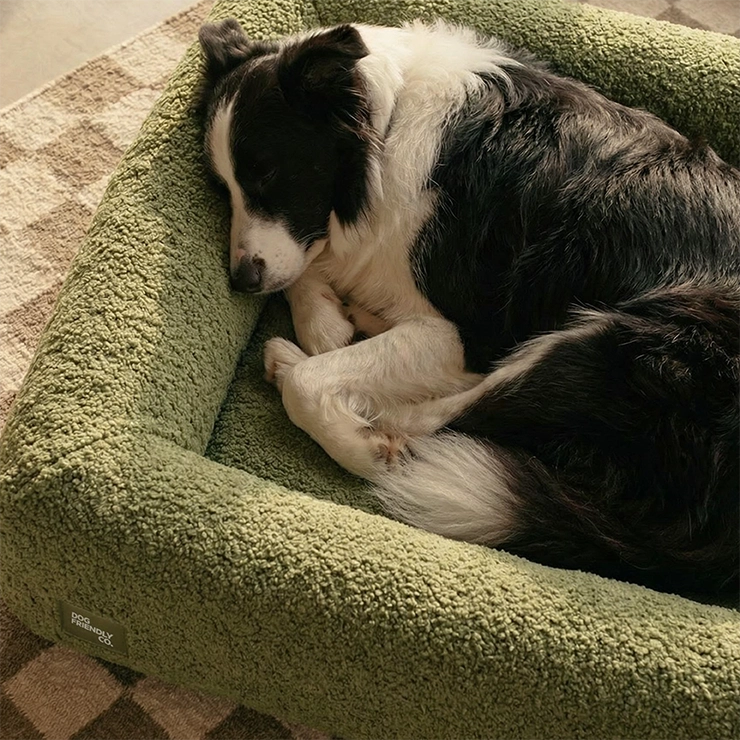 Premium Orthopedic Memory Foam Dog Bed - Green Bouclé (Large)
