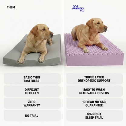 Grey Bouclé orthopedic dog bed showing the egg-crate memory foam and supportive foam layers.