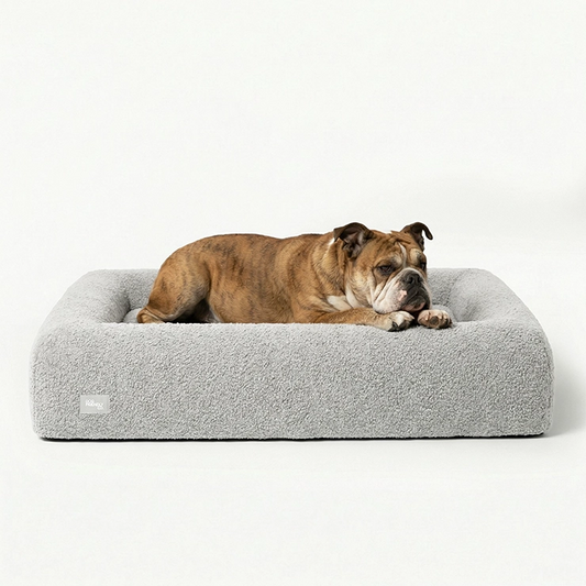 Premium Orthopedic Memory Foam Dog Bed - Grey Bouclé (Large)