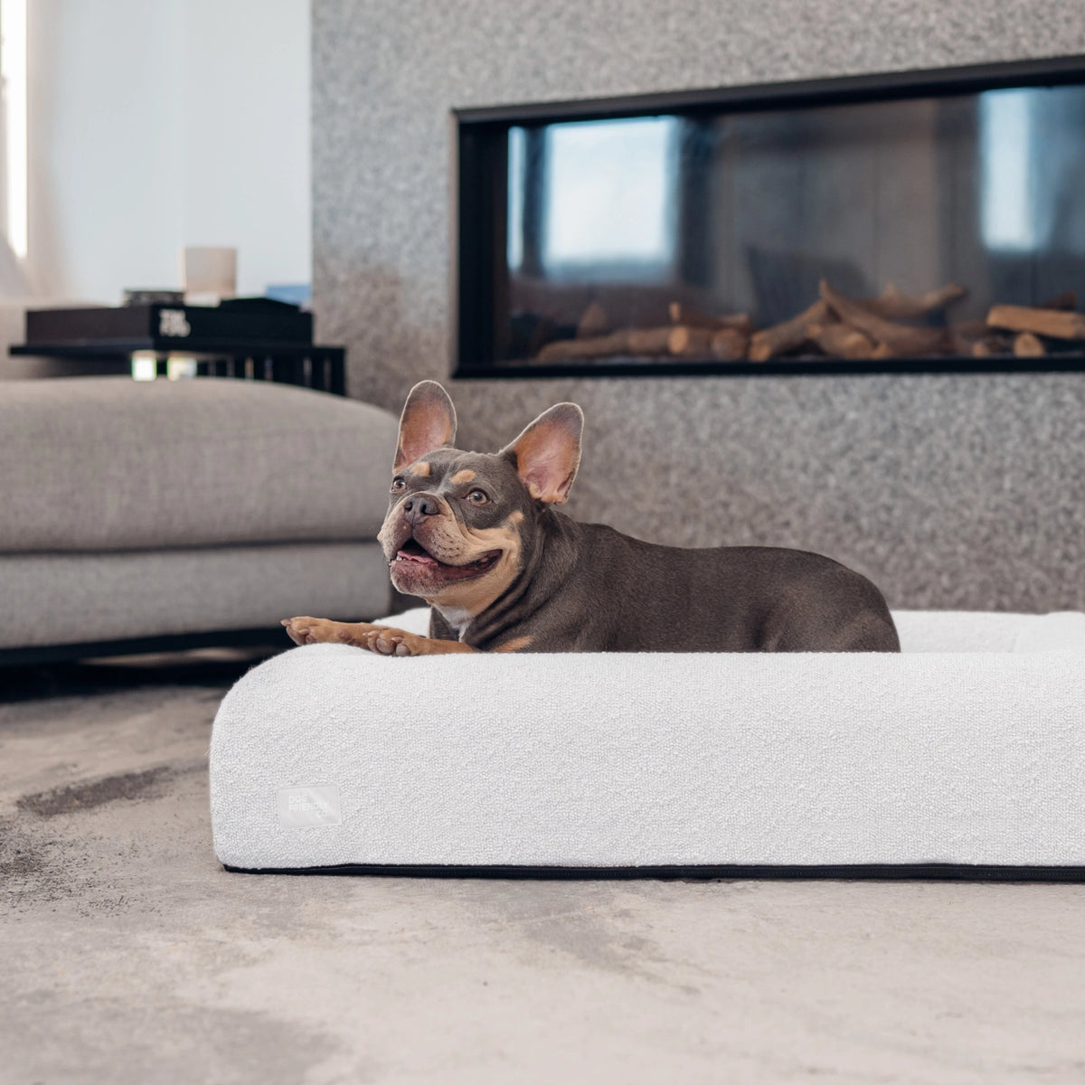 Grey Bouclé orthopedic memory foam dog bed showing its soft textured cover and raised supportive sides.