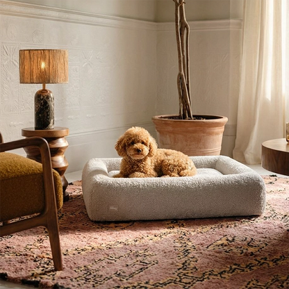 Premium Orthopedic Memory Foam Dog Bed - Grey Bouclé (Large) (Preorder)