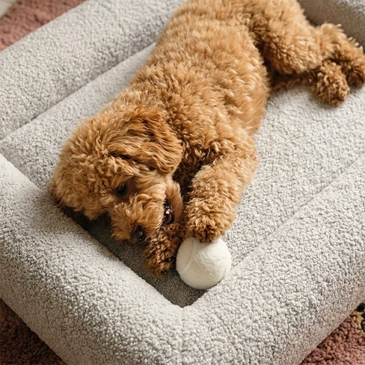 Premium Orthopedic Memory Foam Dog Bed - Grey Bouclé