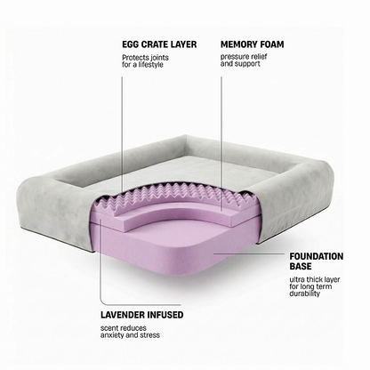 Premium Orthopedic Memory Foam Dog Bed - Grey (Medium) (Preorder)