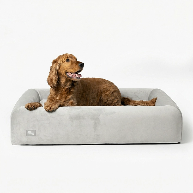 Premium Orthopedic Memory Foam Dog Bed - Grey (Medium) (Preorder)