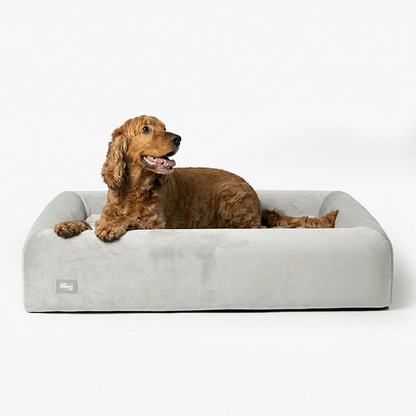 Premium Orthopedic Memory Foam Dog Bed - Grey (Medium) (Preorder)