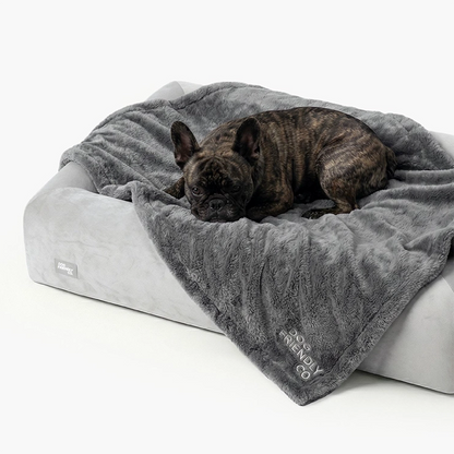 Premium Orthopedic Memory Foam Dog Bed - Grey (Large)