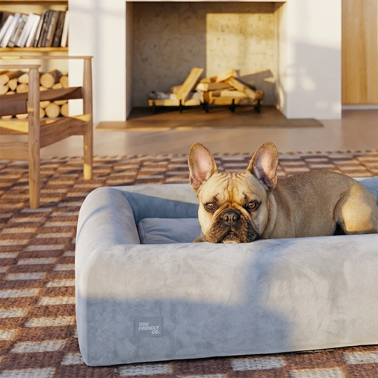 Premium Orthopedic Memory Foam Dog Bed - Grey (Medium) (Preorder)