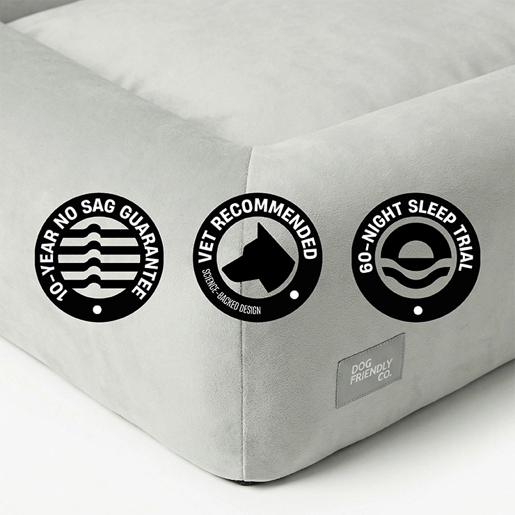 Premium Orthopedic Memory Foam Dog Bed - Grey (Medium) (Preorder)