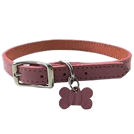 Essentials Collar - Red