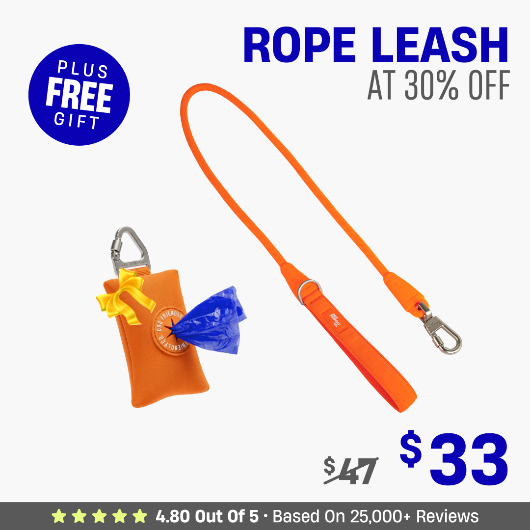Get Leash at 30% OFF + FREE Poop Bag Holder