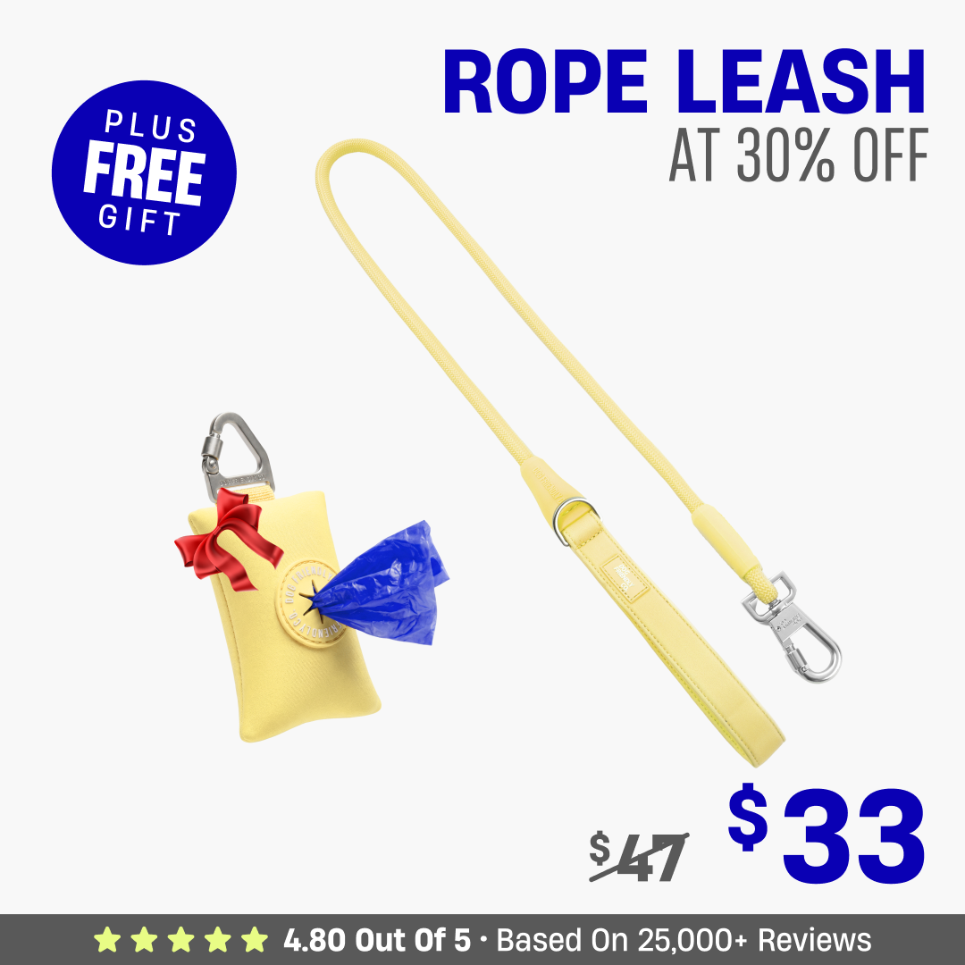 Get Leash at 30% OFF + FREE Poop Bag Holder