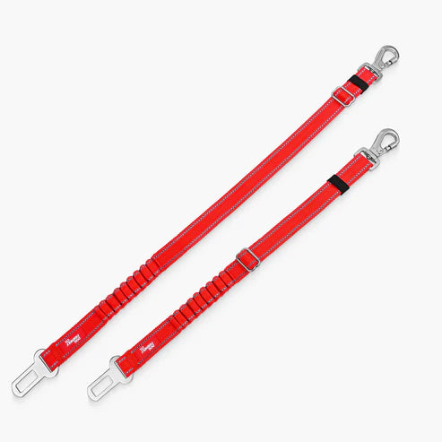 Dog Seat Belt