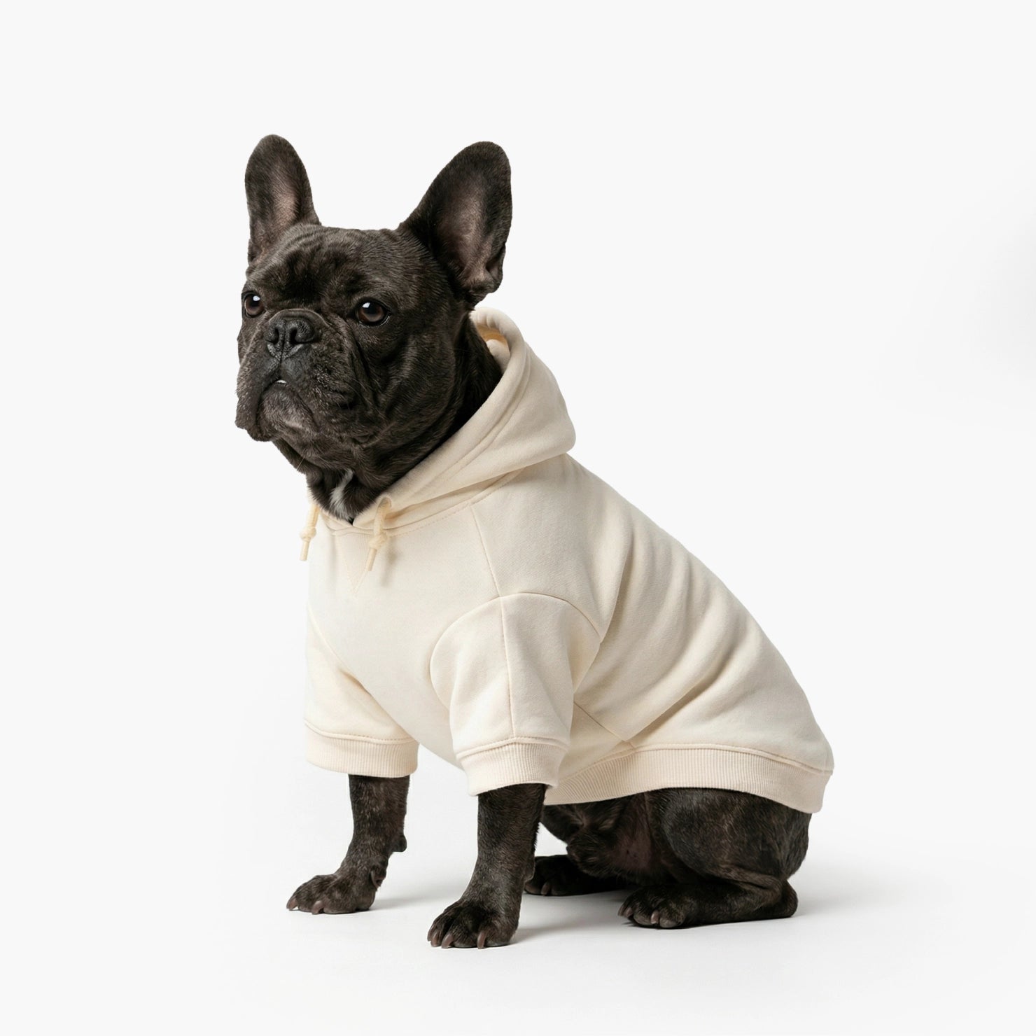 Winter Dog Hoodies