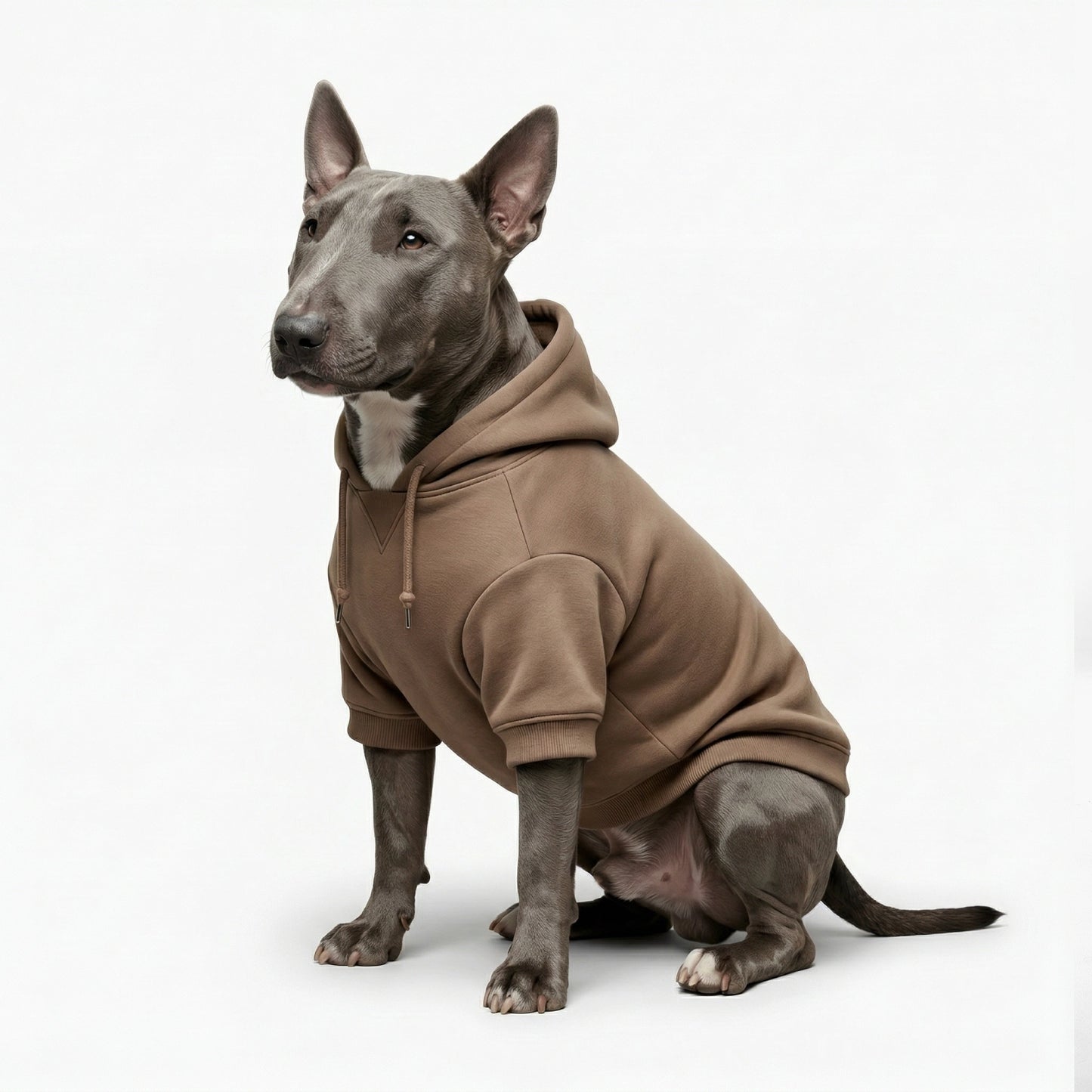 Signature Dog Hoodie - Brown