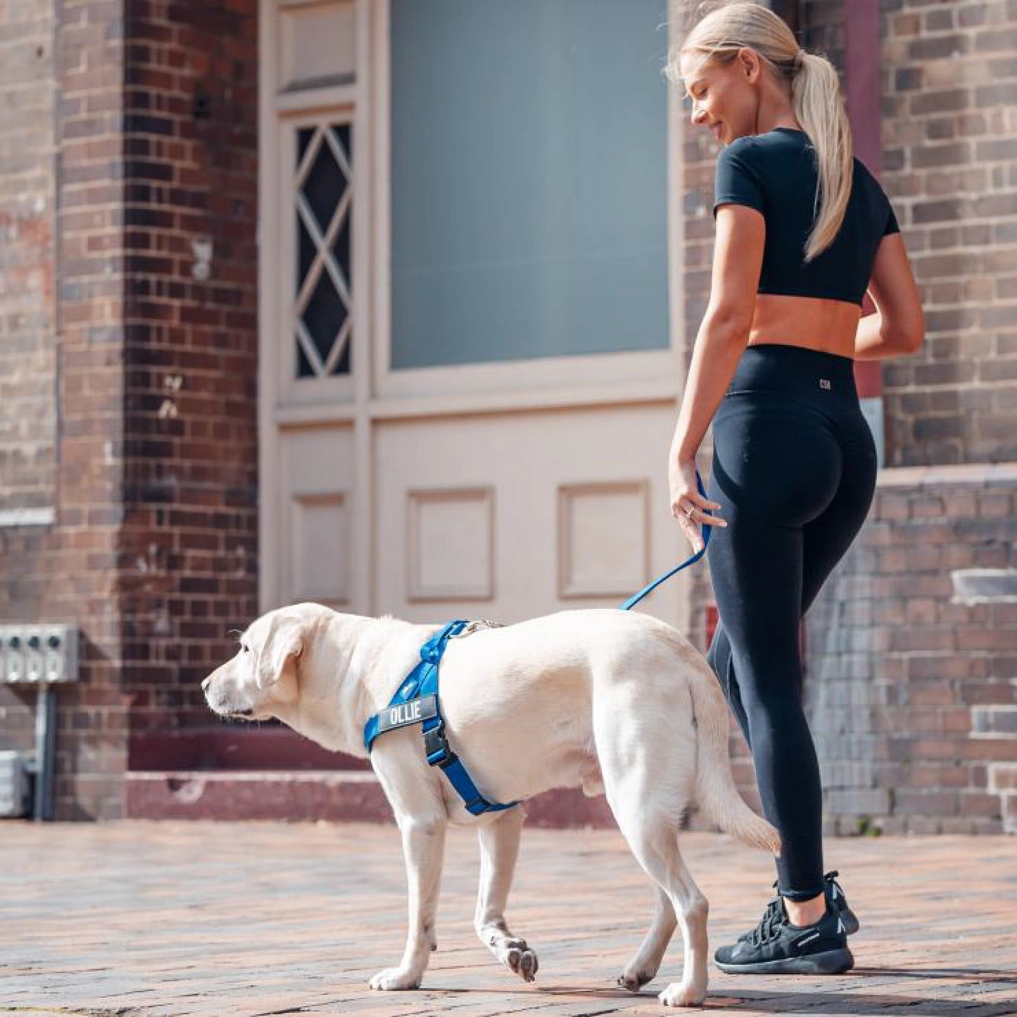 Signature Kit - Classic Blue