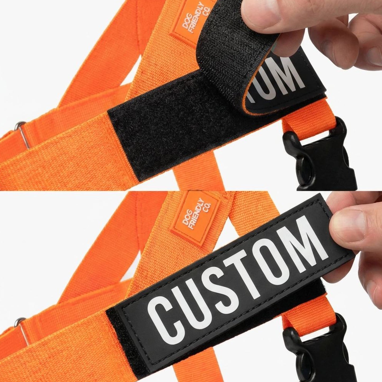 Signature Kit - Orange - FREE D-Ring