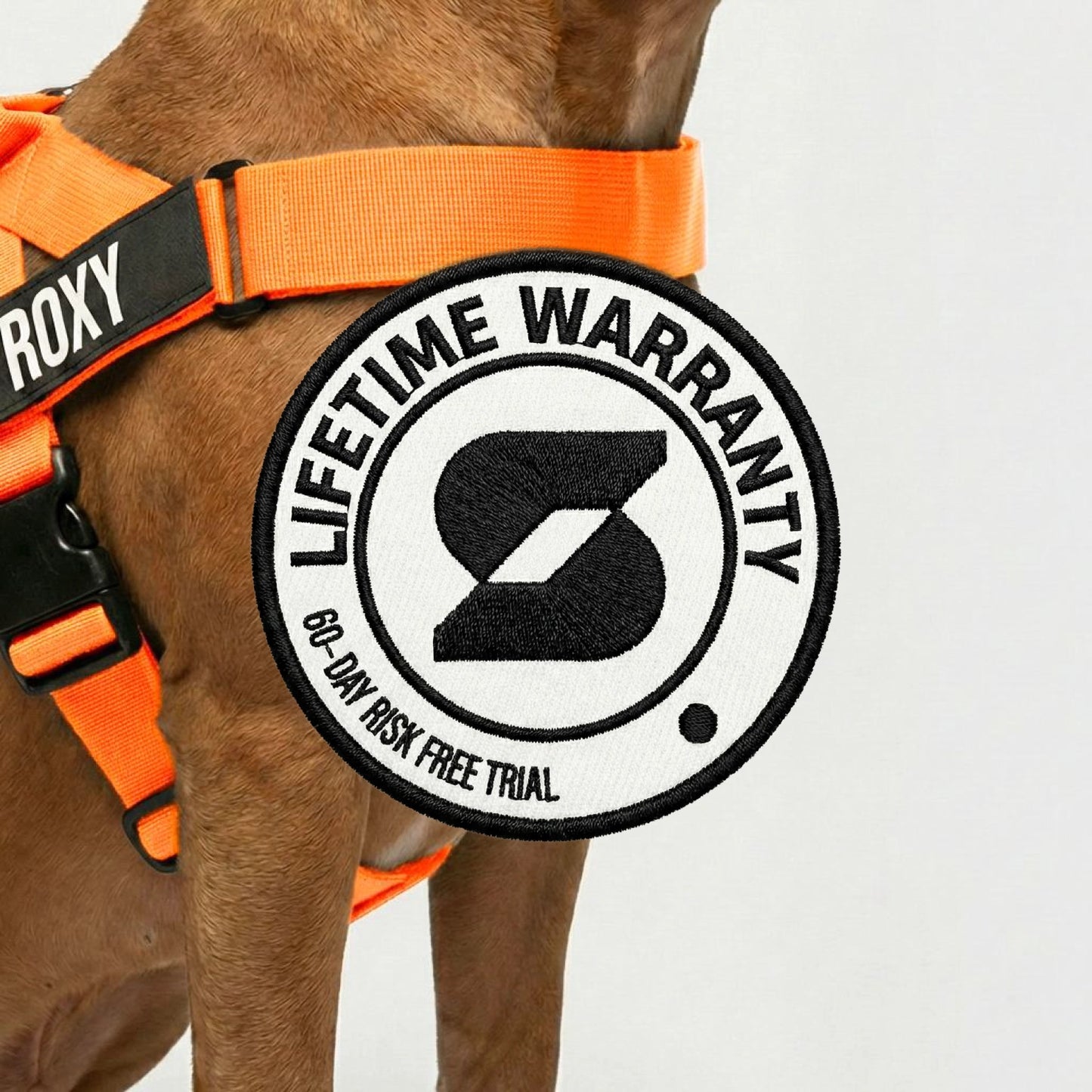 Signature Kit - Orange - FREE D-Ring
