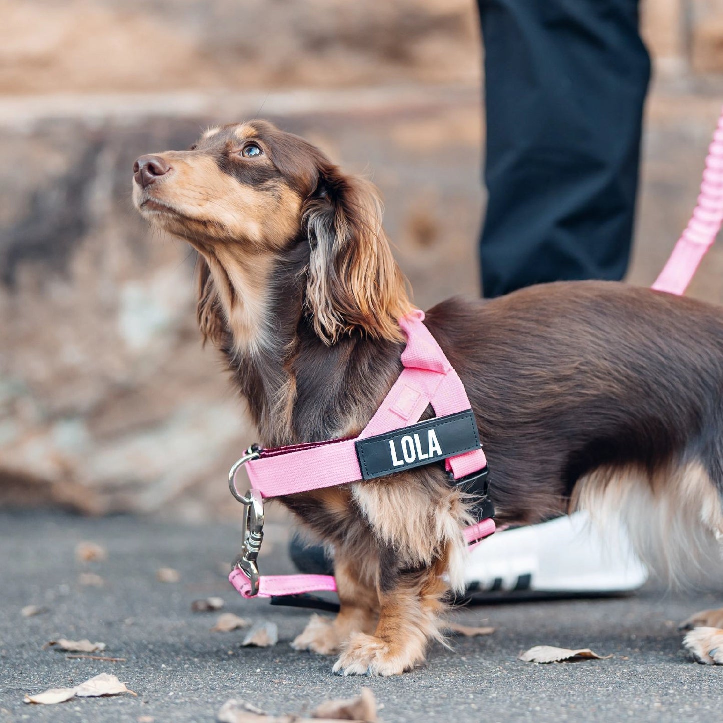 Signature Kit - Pink