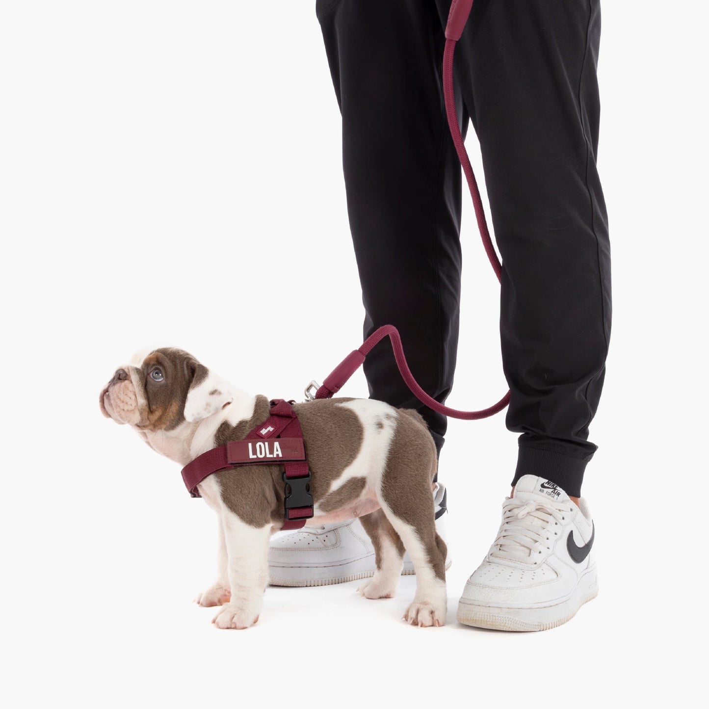 Signature Kit - Burgundy