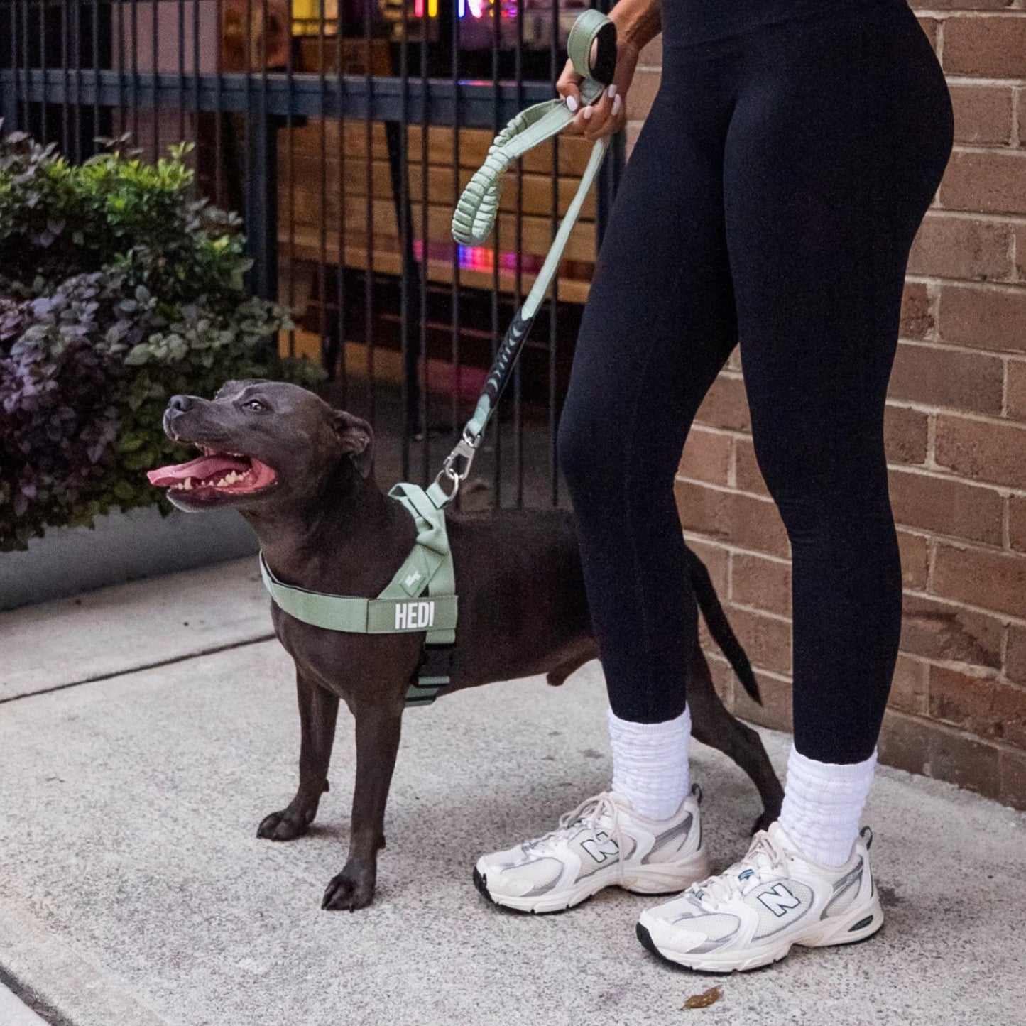 Signature Kit - Khaki