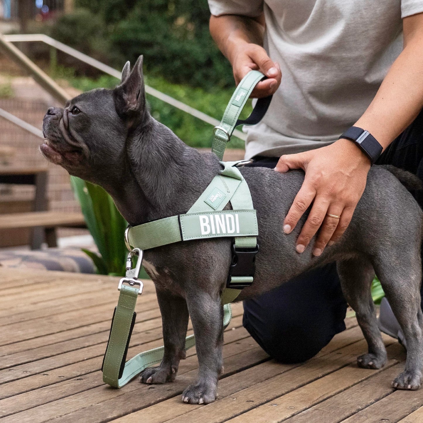 Signature Kit - Khaki