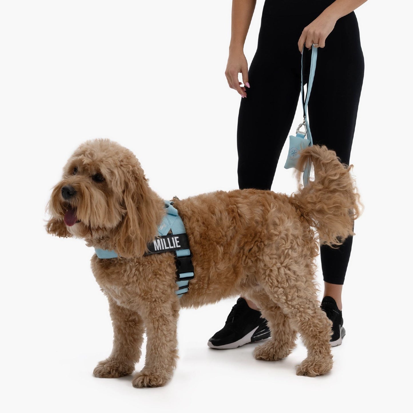 Signature Kit - Sky Blue