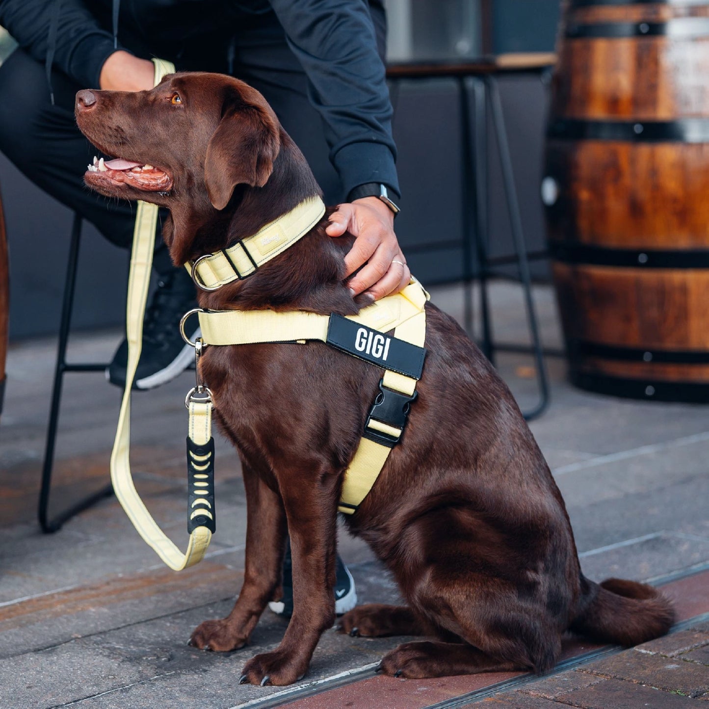 Signature Kit - Yellow