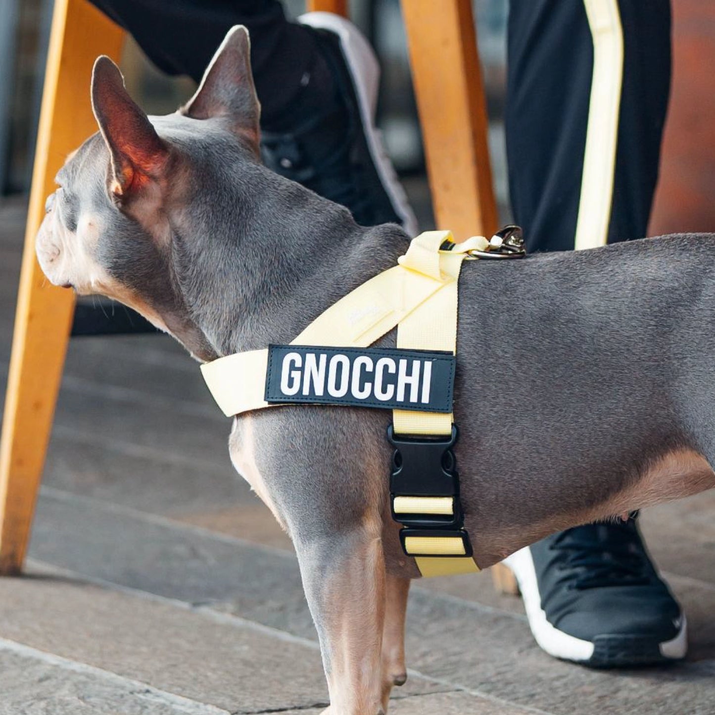 Signature Kit - Yellow