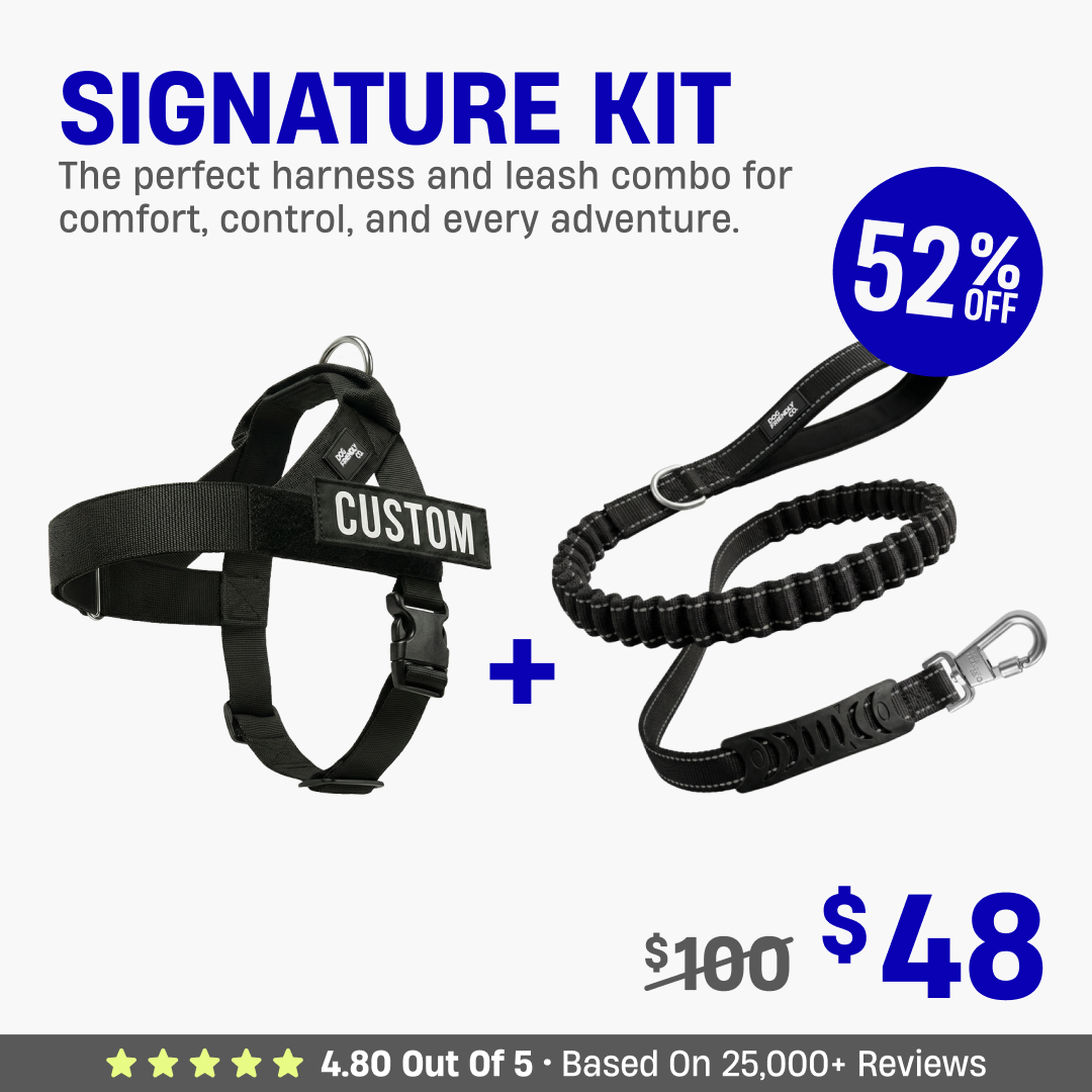 Signature Kit - 52% OFF
