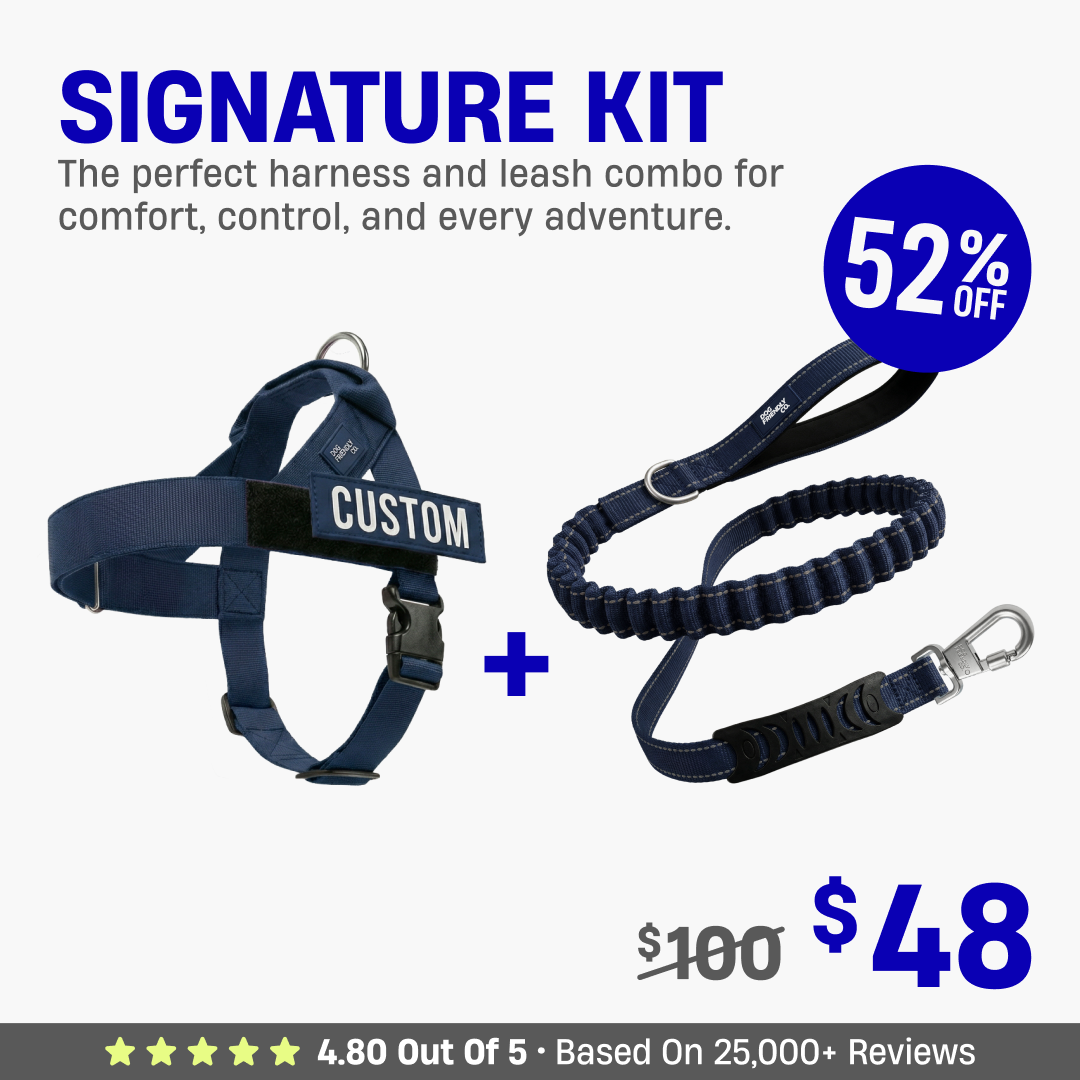 Signature Kit - 52% OFF