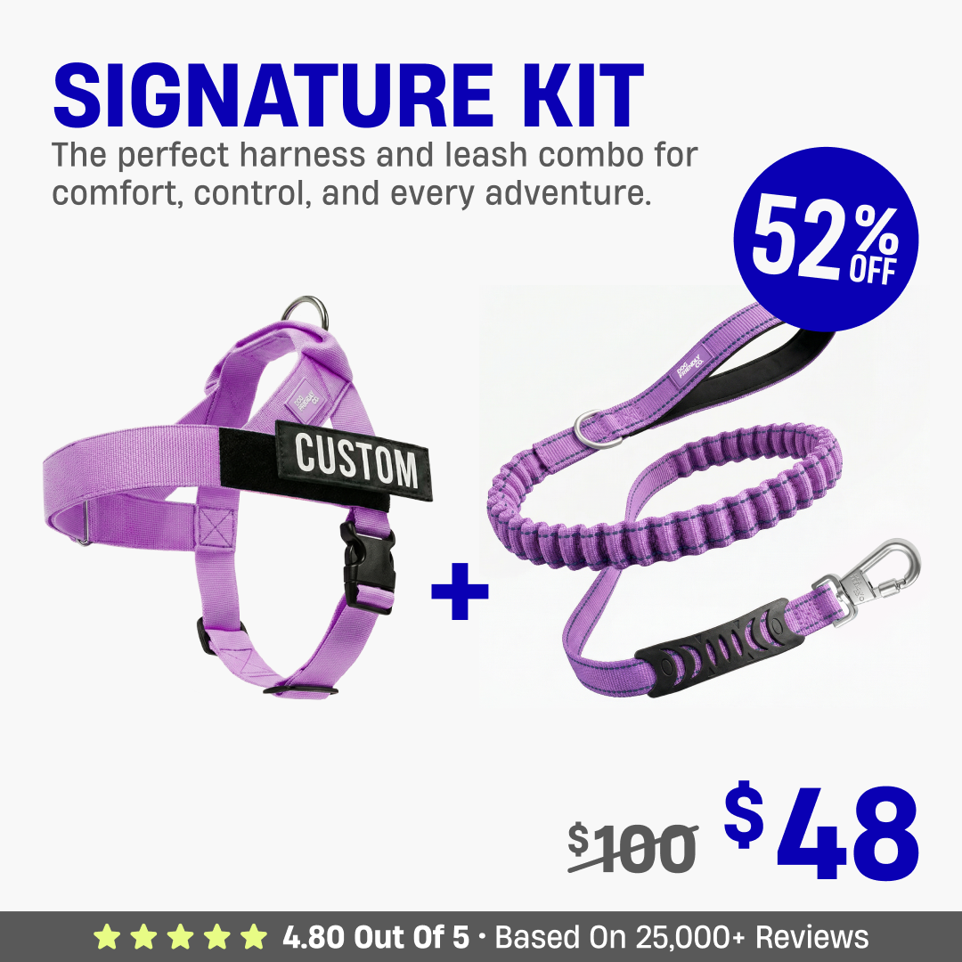 Signature Kit - 52% OFF