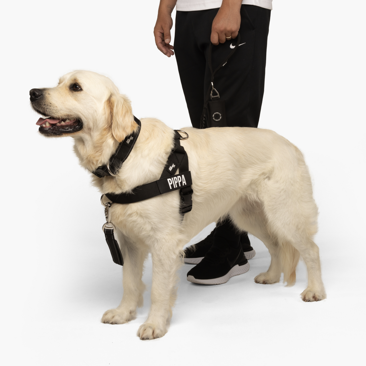 Dog wearing a black ultimate-no-pull bundle