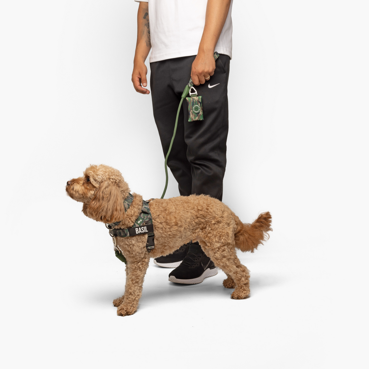 Dog wearing green camo ultimate-no-pull bundle