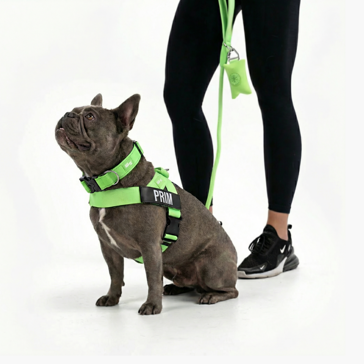 Dog wearing a neon green ultimate-no-pull bundle