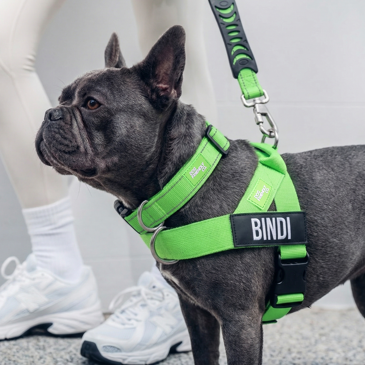 Dog wearing a neon green ultimate-no-pull bundle while outdoor