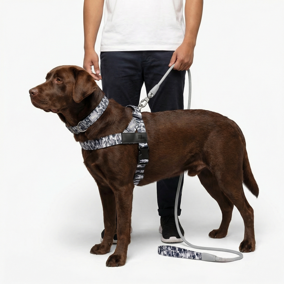 Dog wearing grey camo ultimate-no-pull bundle