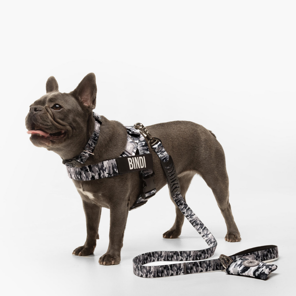 Dog wearing grey camo ultimate-no-pull bundle