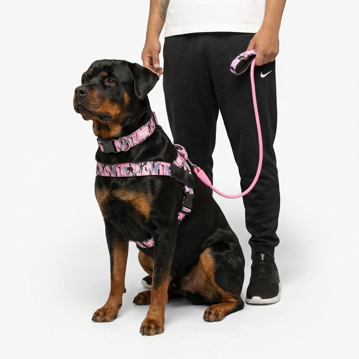 Dog wearing pink camo ultimate-no-pull bundle