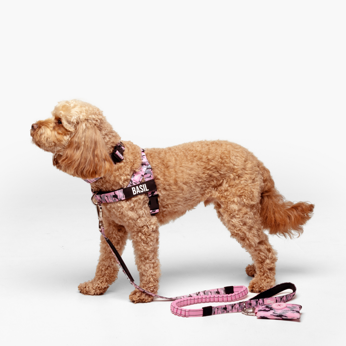 Dog wearing pink camo ultimate-no-pull bundle while outdoor