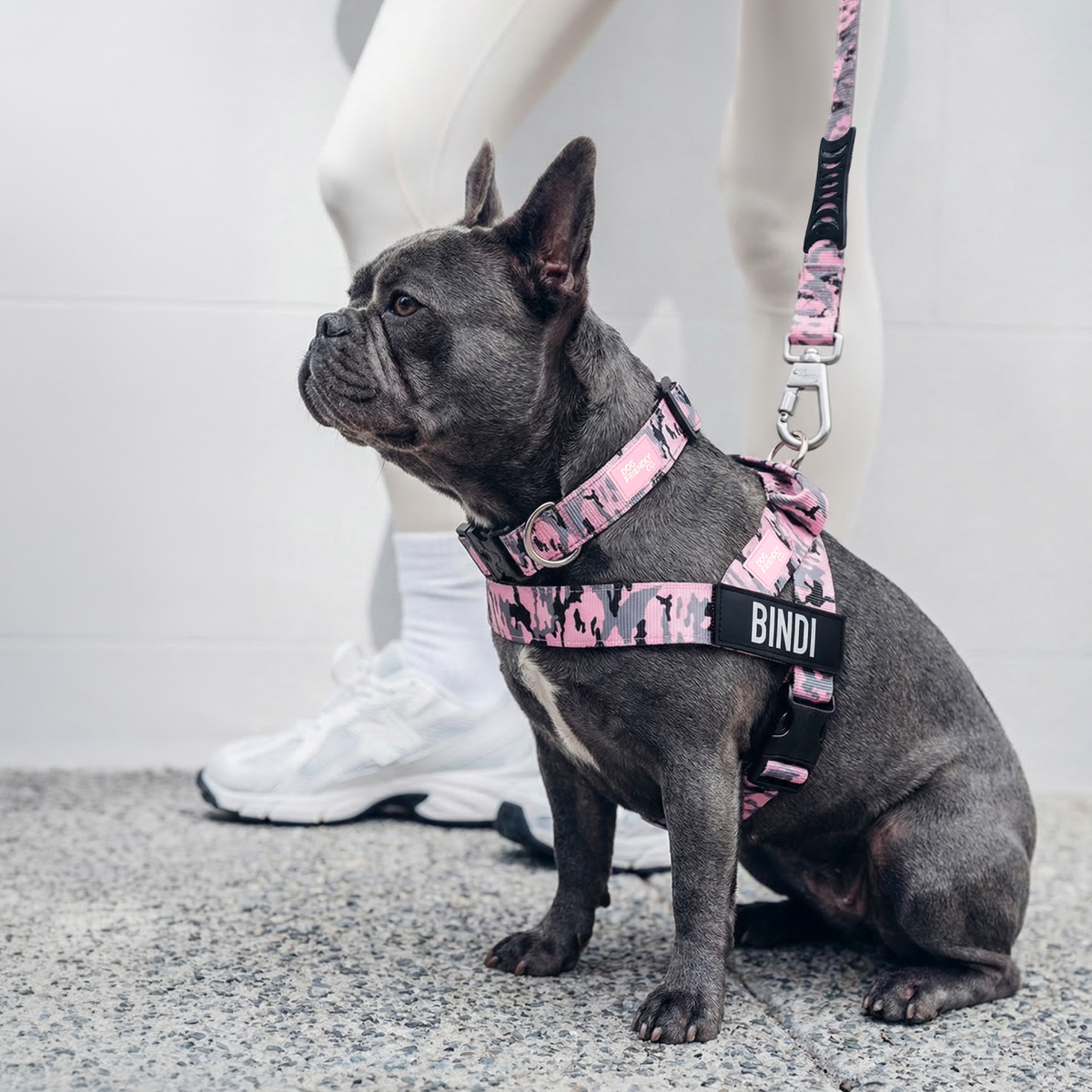 Dog wearing pink camo ultimate-no-pull bundle while outdoor
