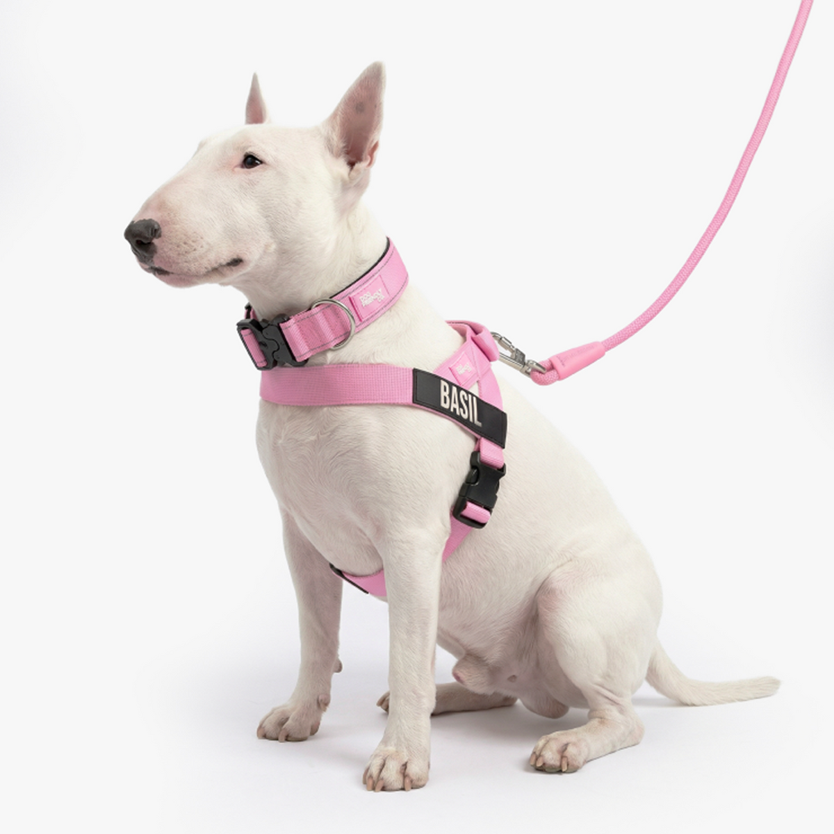 Dog wearing a pink ultimate-no-pull bundle