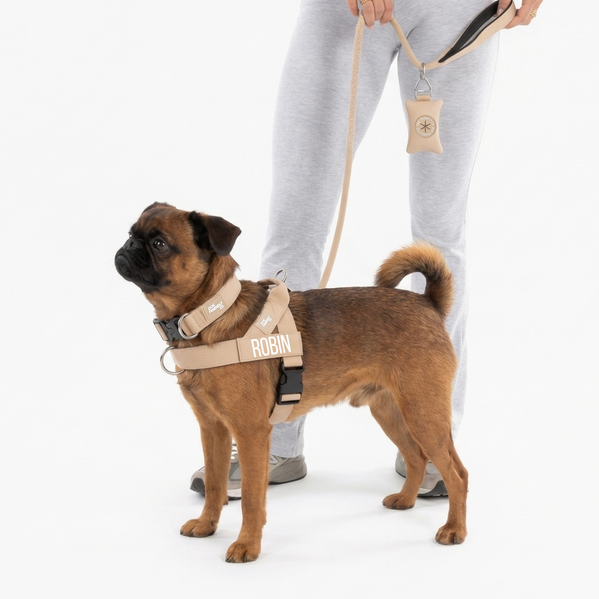 Dog wearing brown ultimate-no-pull bundle
