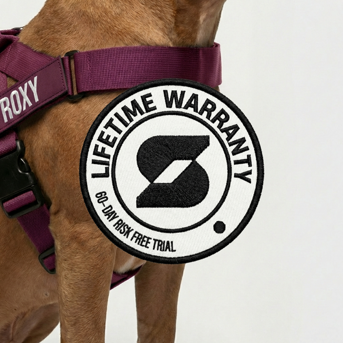 Dog Friendly Lifetime Warranty 60-Day Risk Free Trial.