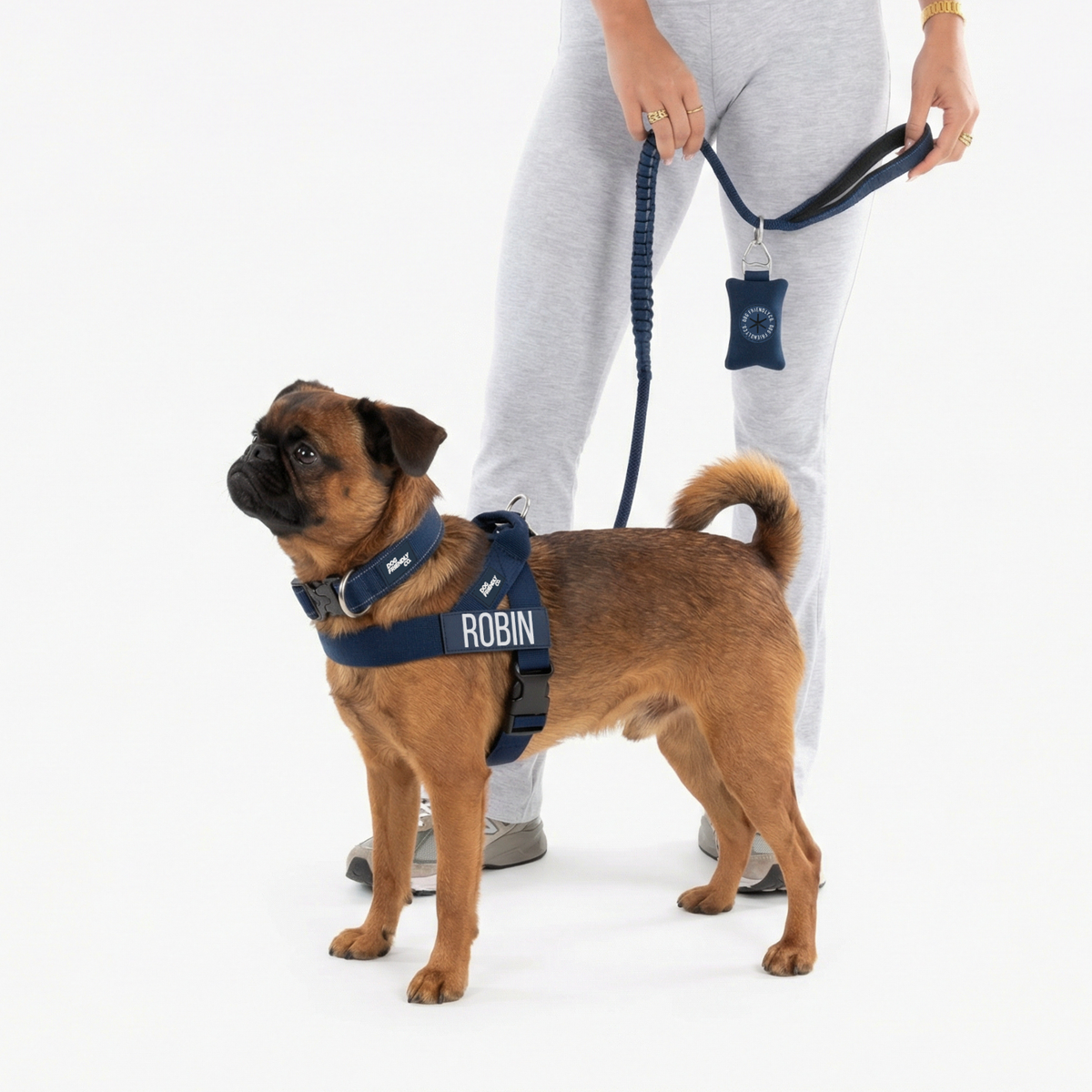 Dog wearing navy blue ultimate-no-pull bundle