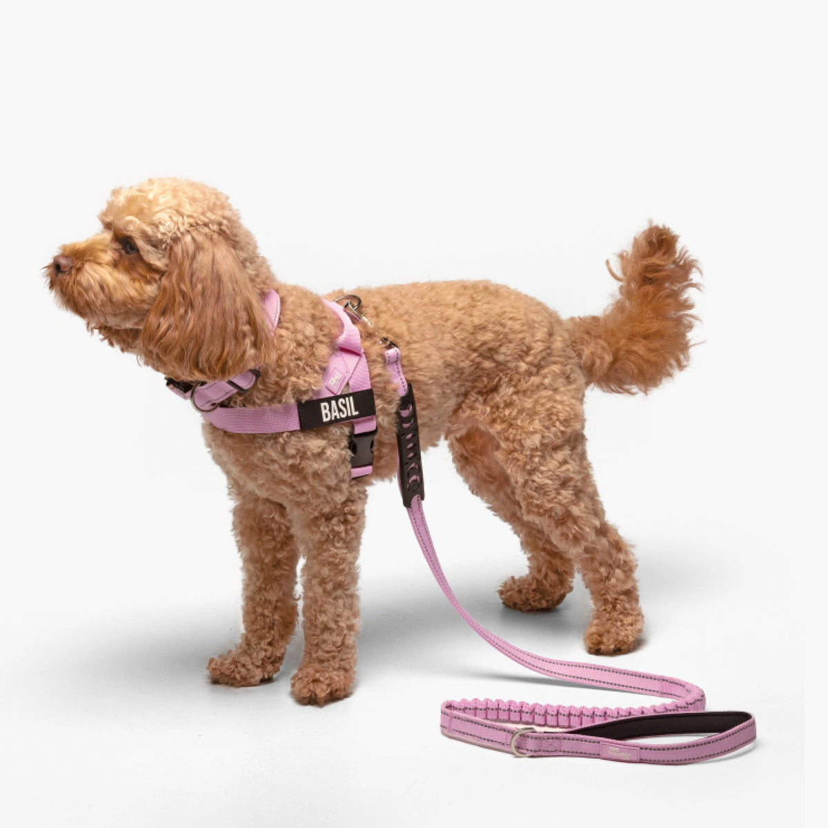 Ultimate No-Pull Bundle - Pink