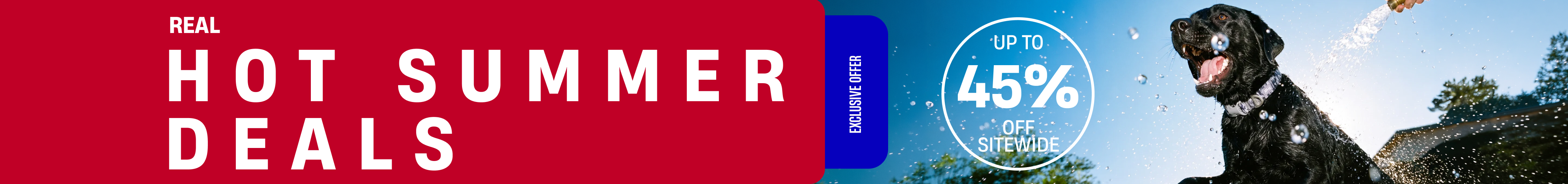Best Sellers (Redesign)