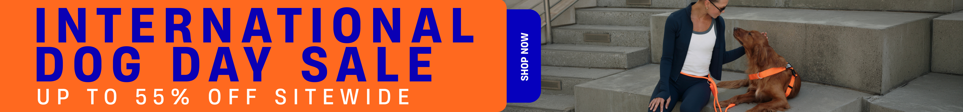 Chill Pill Memory Foam Dog Bed