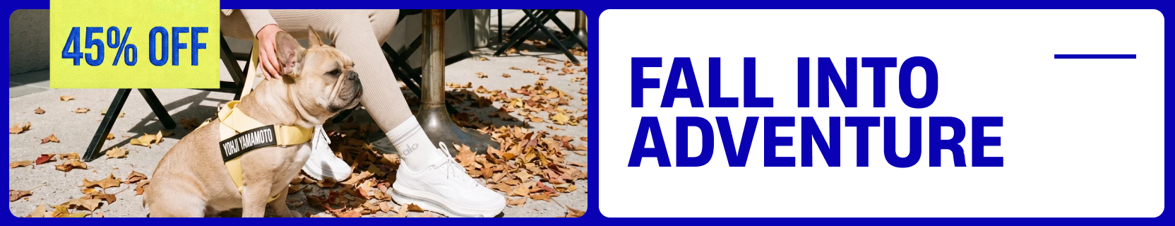 Promotional banner